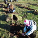 Les élèves de l'école Notre Dame de Kérinec de Poullan-sur-Mer plantent des arbres pour améliorer la qualité de l’eau.