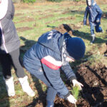 Les élèves de l'école Notre Dame de Kérinec de Poullan-sur-Mer plantent des arbres pour améliorer la qualité de l’eau.